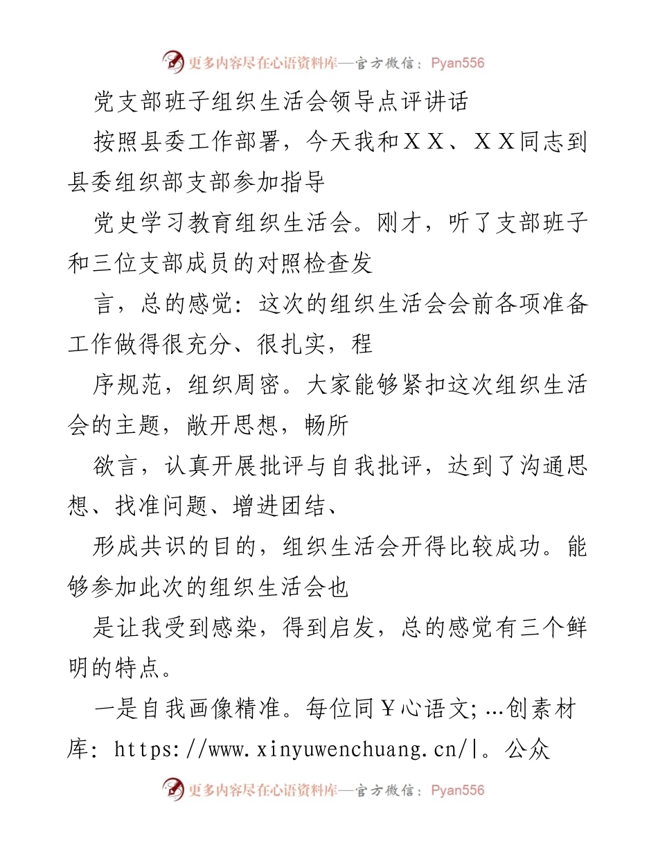 [发言] 党支部组织生活会 - 领导点评讲话总结.docx_第1页