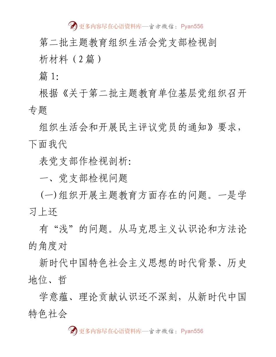 [发言] 党支部组织生活会 - 第二批主题教育党支部检视剖析材料.docx_第1页
