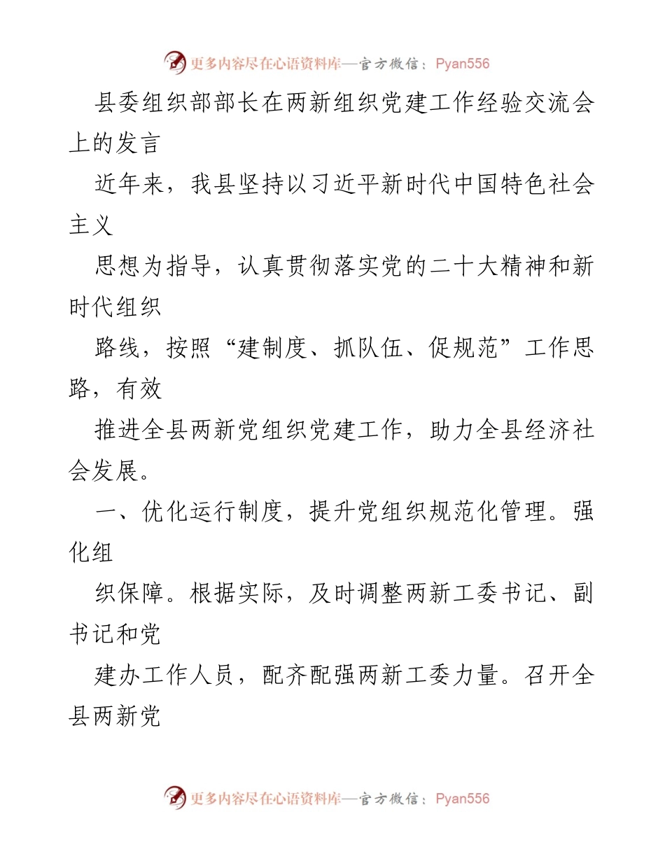 [发言] 党建工作经验交流会 - 加强两新组织党建工作，助力经济社会发展.docx_第1页