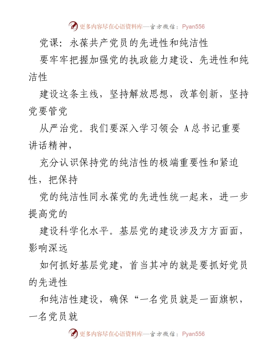 [发言] 党课 - 永葆党员先进性与纯洁性的战略思考.docx_第1页