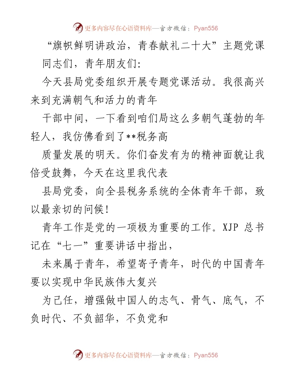 [发言] 党课 - 青年干部的使命与责任：旗帜鲜明讲政治，青春献礼二十大.docx_第1页