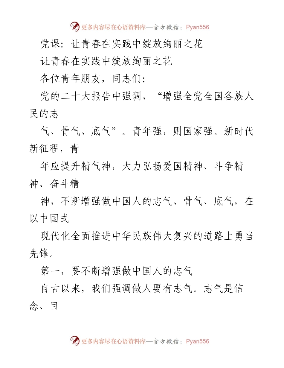 [发言] 党课 - 青年在新时代的使命与担当_1.docx_第1页