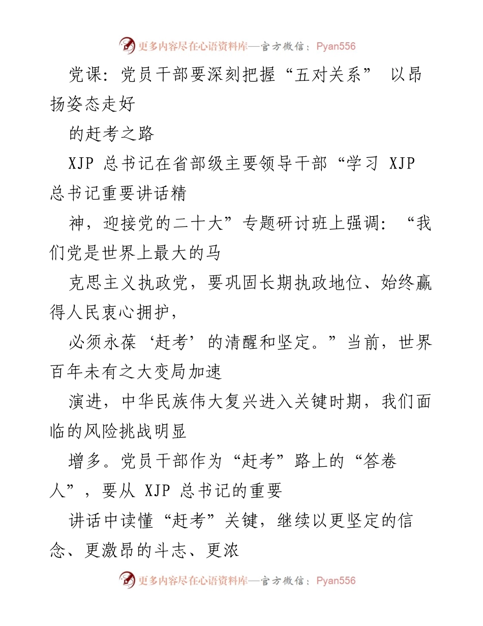 [发言] 党课 - 深刻把握“五对关系”，昂首走好赶考之路.docx_第1页