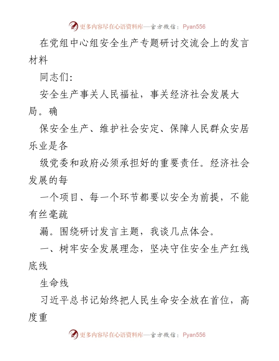 [发言] 党组中心组安全生产专题研讨交流会 - 确保安全生产，维护人民福祉的重要性.docx_第1页