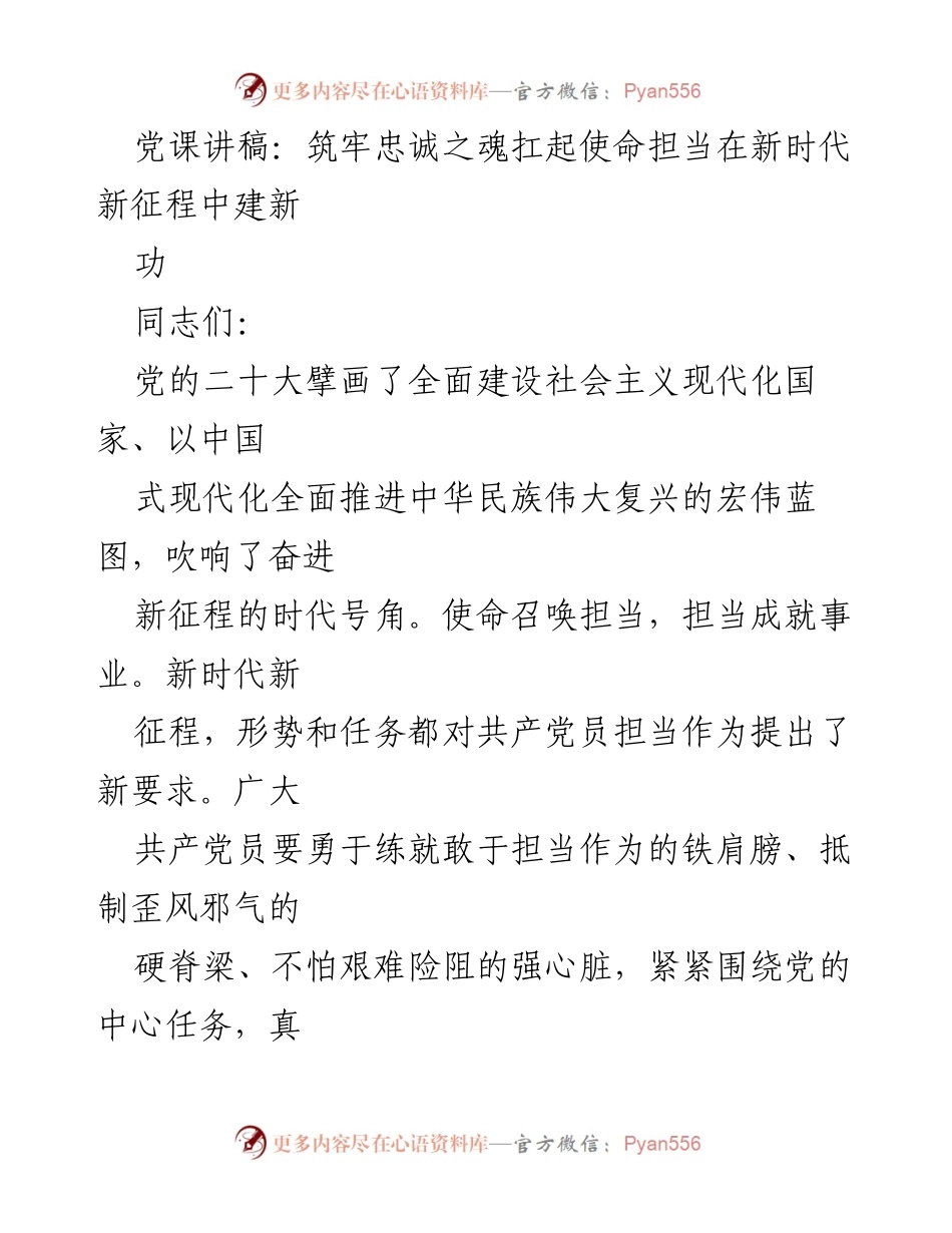 [发言] 党课 - 忠诚担当：新时代共产党员的使命与责任_1.docx_第1页