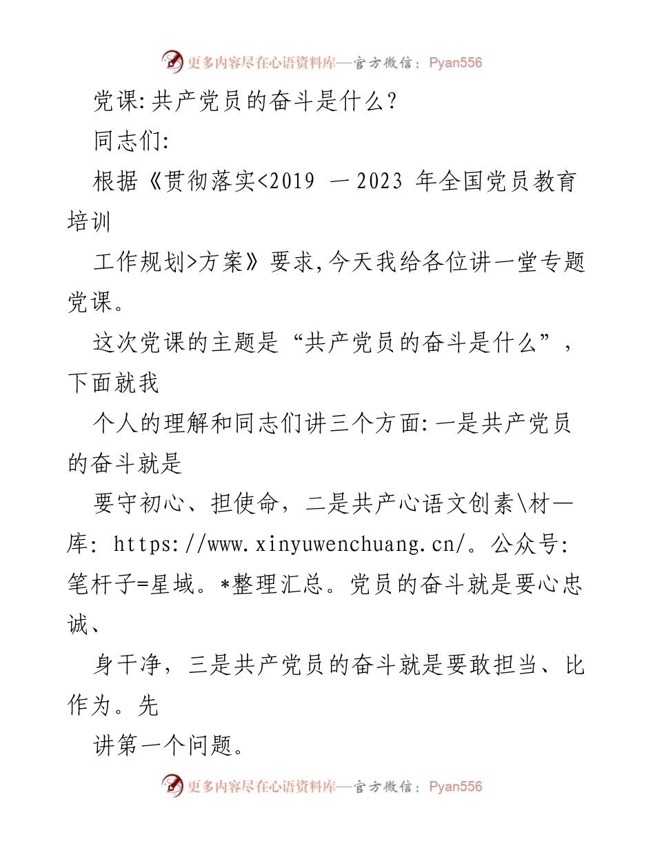 [发言] 党课 - 共产党员的奋斗内涵解析.docx_第1页