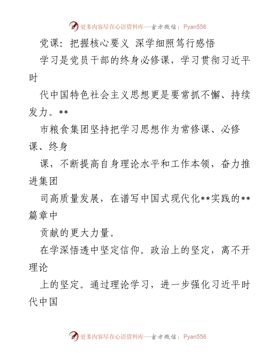 [发言] 党课 - 深学细照笃行，坚定信仰与能力提升.docx_第1页