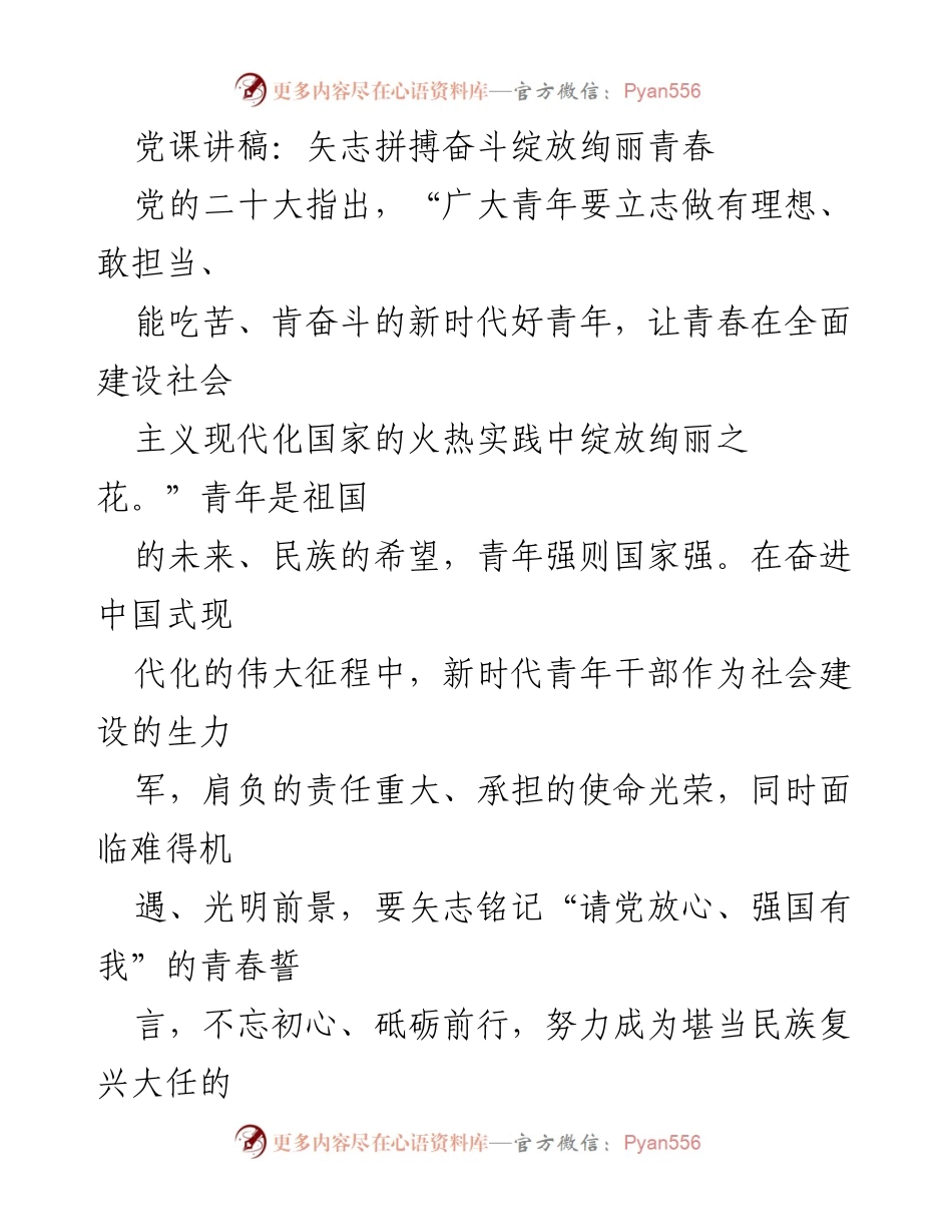 [发言] 党课 - 矢志拼搏，绽放青春力量.docx_第1页