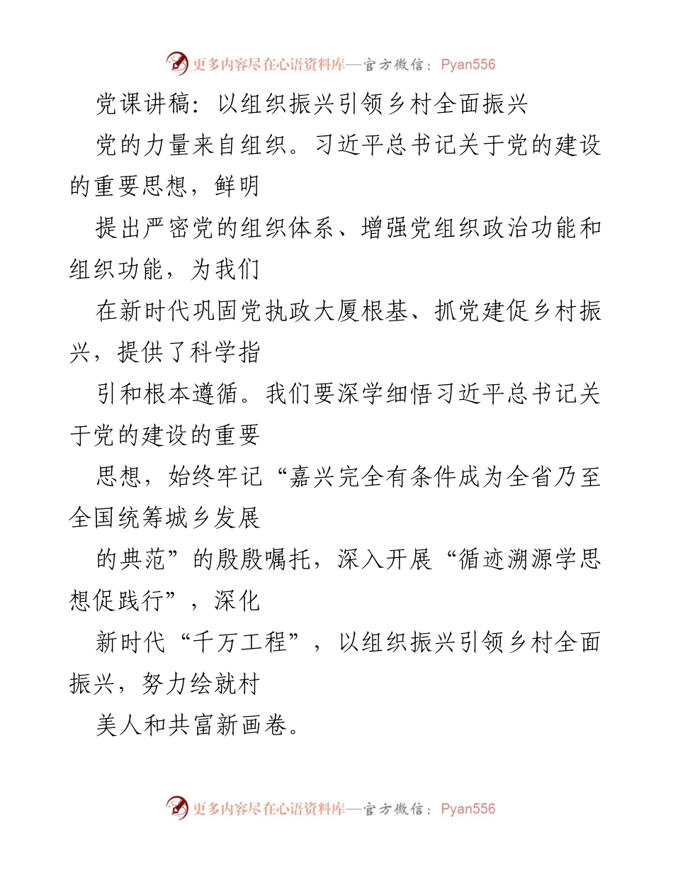 [发言] 党课 - 以组织振兴引领乡村全面振兴_2.docx_第1页
