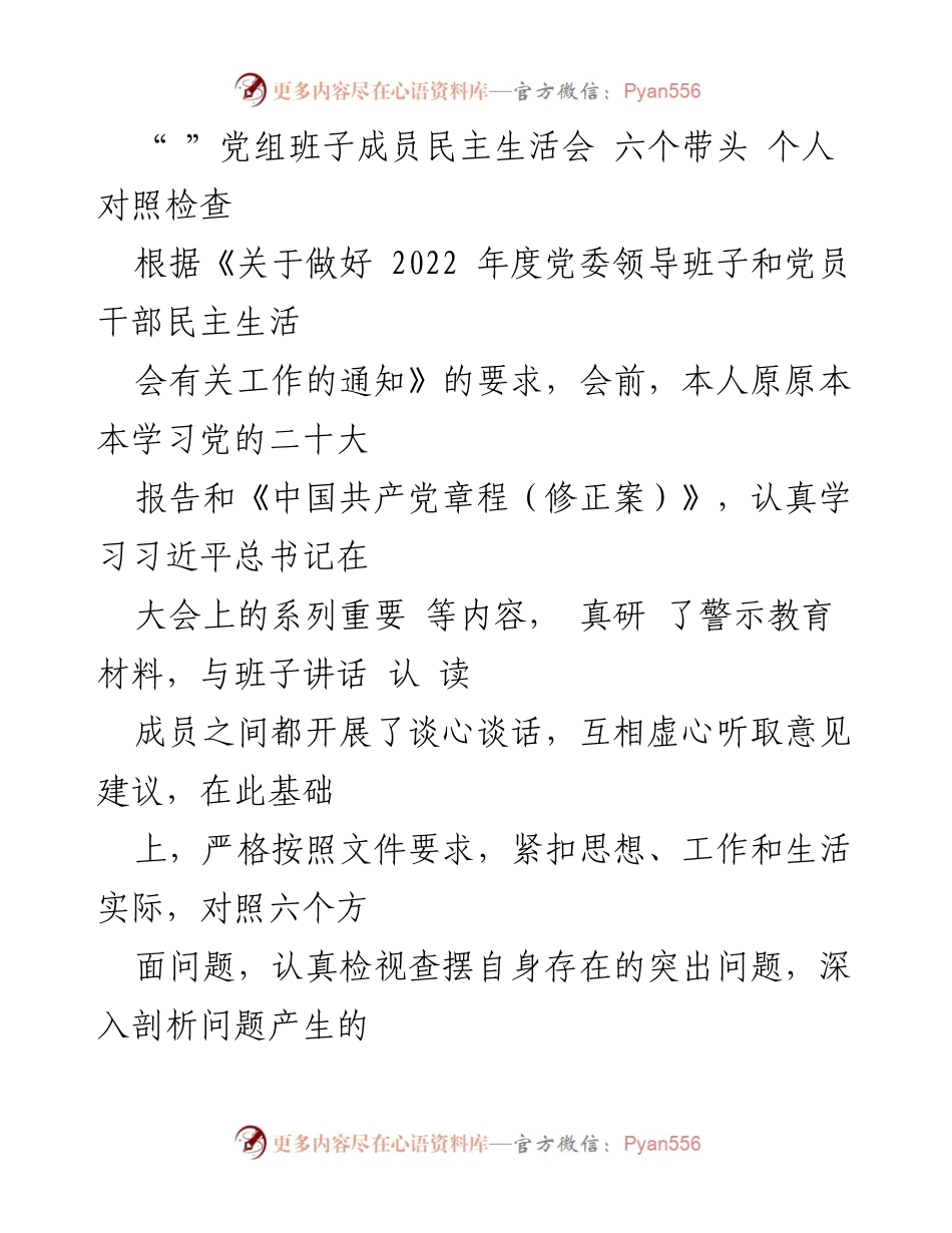 [发言] 党组班子成员民主生活会 - 加强政治自觉，提升领导能力的自我检视报告.docx_第1页
