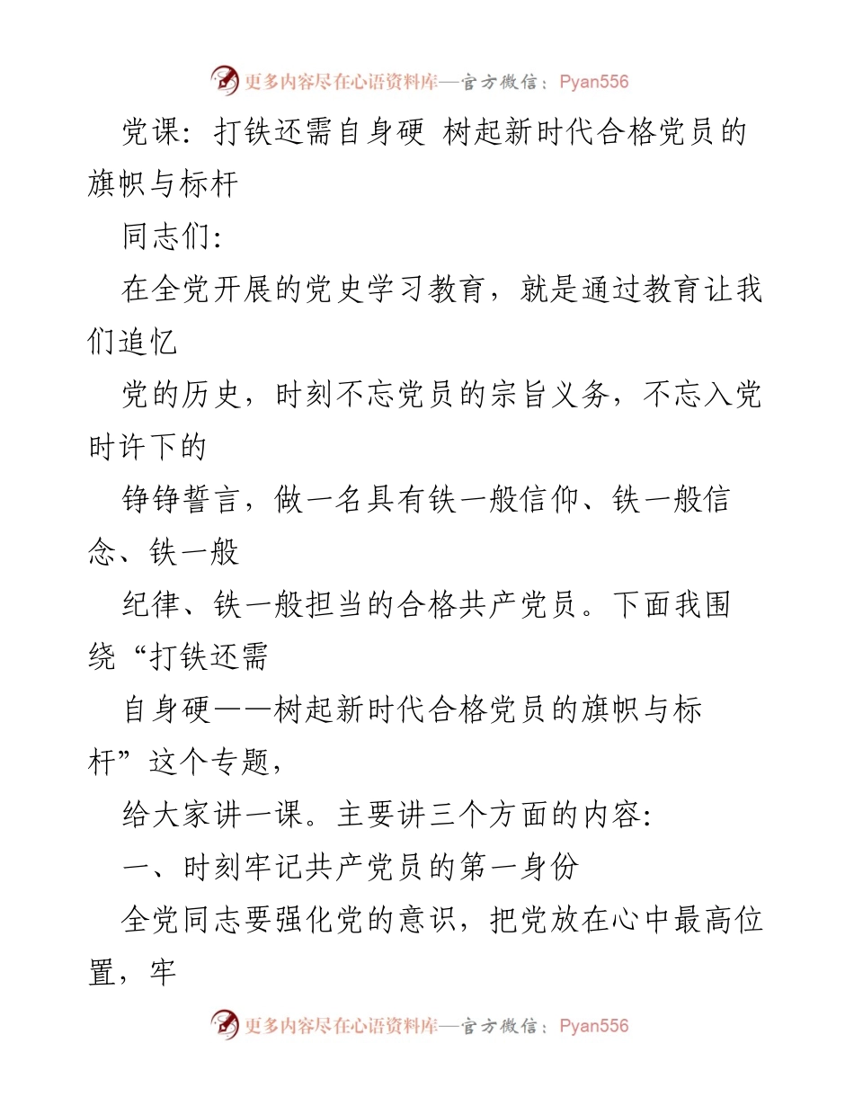 [发言] 党课 - 打铁还需自身硬：树起新时代合格党员的旗帜与标杆.docx_第1页