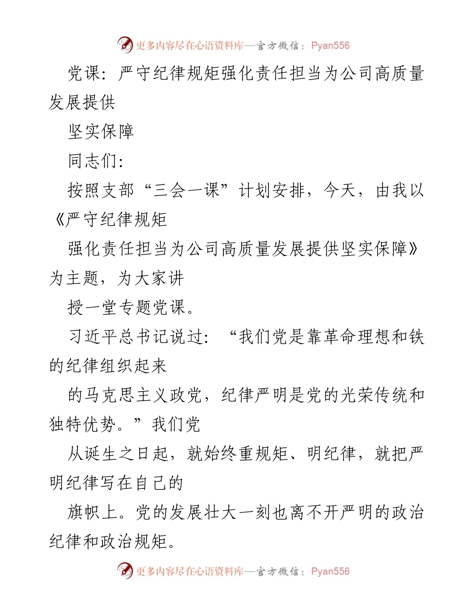 [发言] 党课 - 严守纪律规矩，强化责任担当，为公司高质量发展提供保障.docx_第1页
