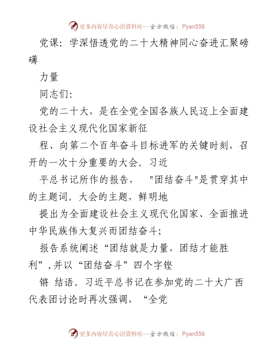 [发言] 党课 - 深入理解党的二十大精神：团结奋斗的重要性.docx_第1页