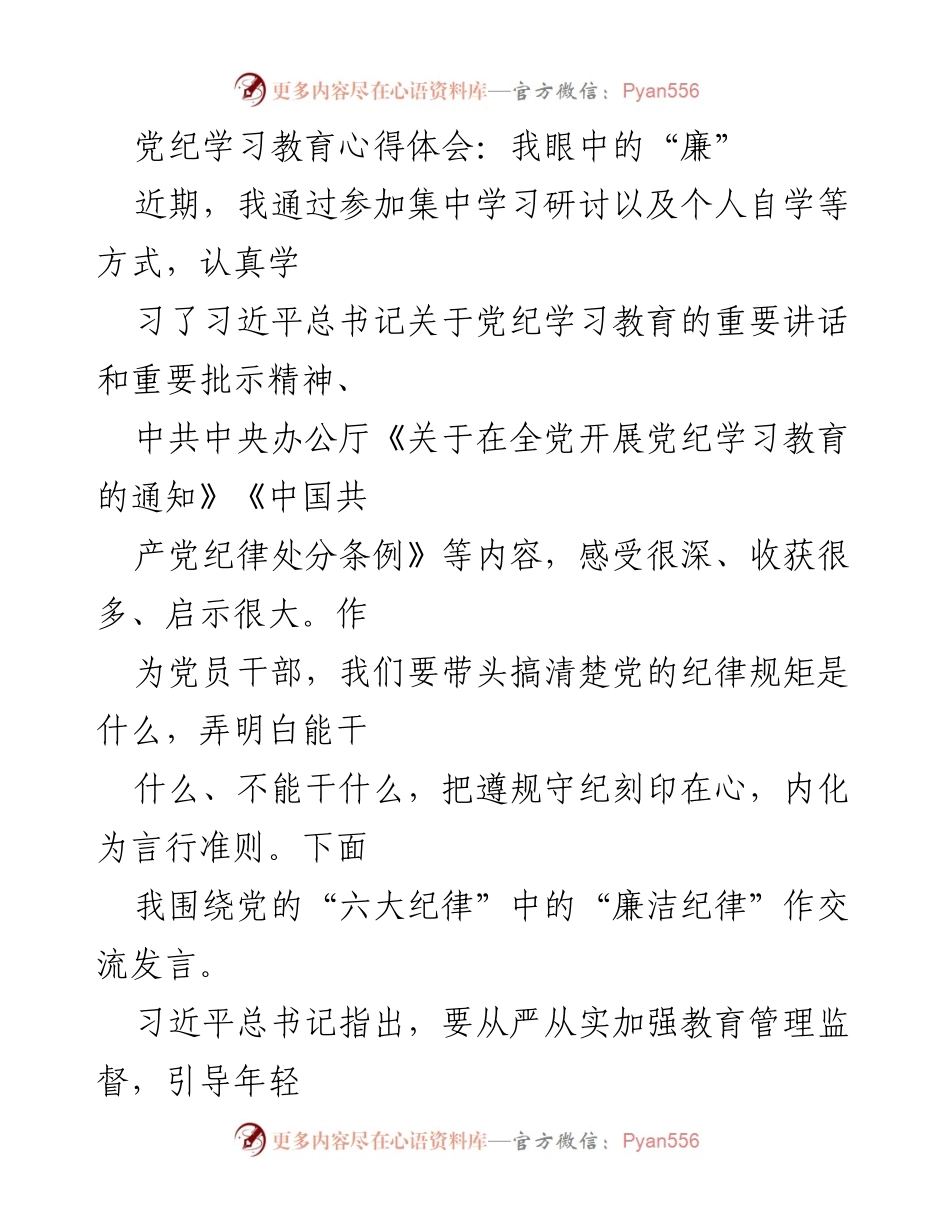 [发言] 党纪学习教育研讨会 - 我眼中的“廉”：青年干部的责任与信念.docx_第1页