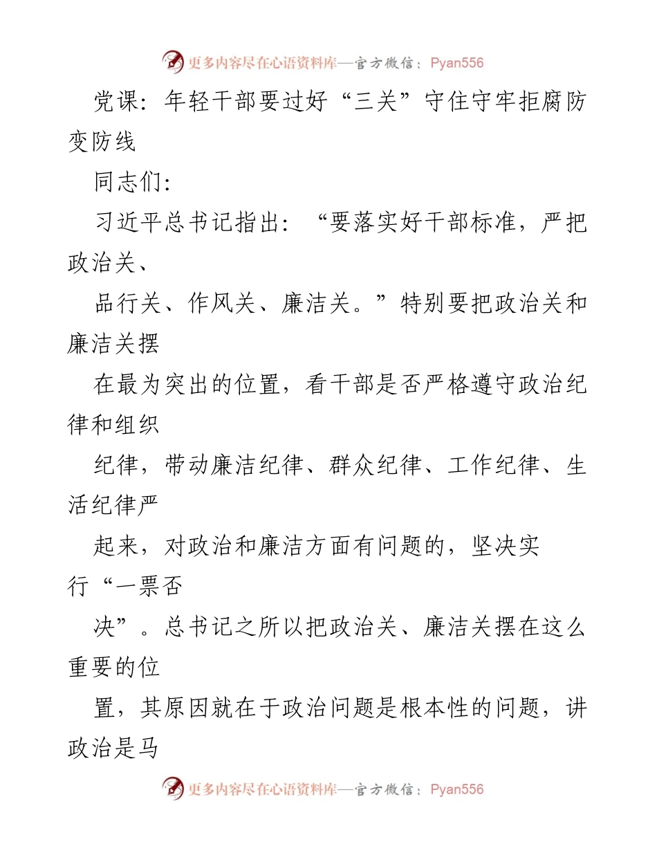 [发言] 党课 - 年轻干部应守好政治与廉洁关.docx_第1页
