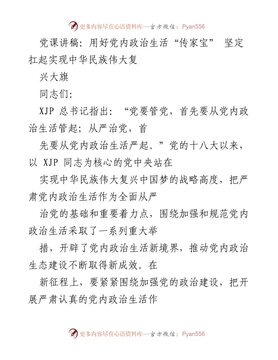 [发言] 党课 - 严肃党内政治生活的重要性与年轻干部的责任.docx_第1页