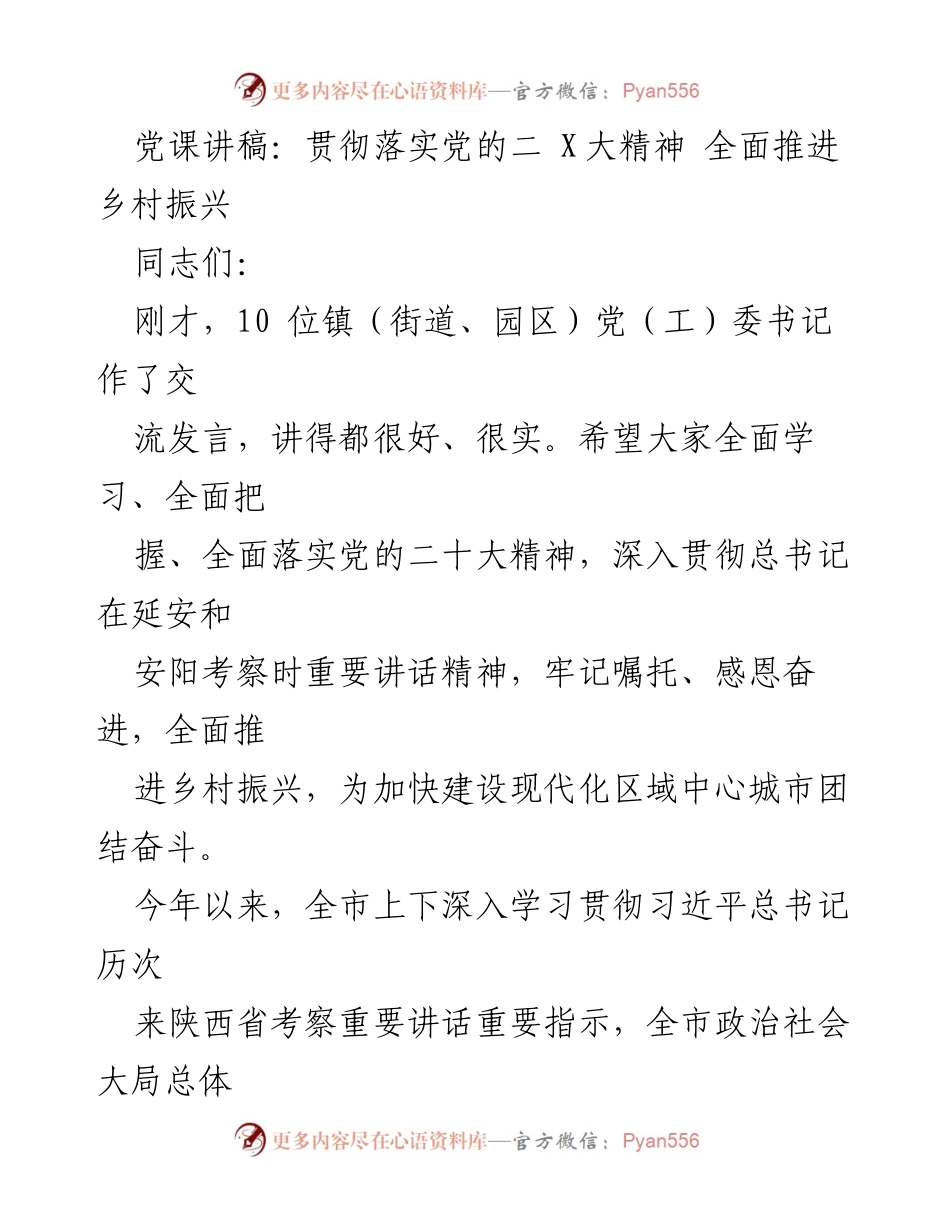 [发言] 党课 - 贯彻落实党的二十大精神，全面推进乡村振兴.docx_第1页