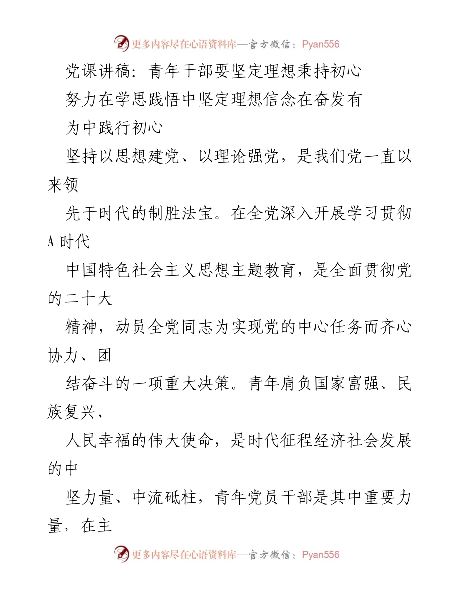 [发言] 党课 - 青年干部的理想信念与初心践行.docx_第1页
