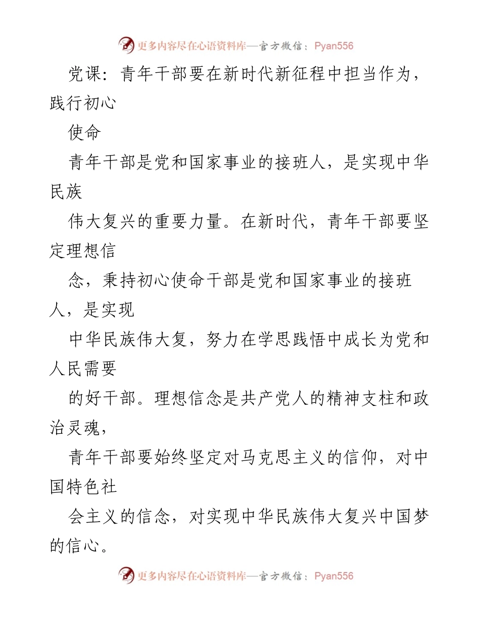 [发言] 党课 - 青年干部在新时代的使命与担当_1.docx_第1页