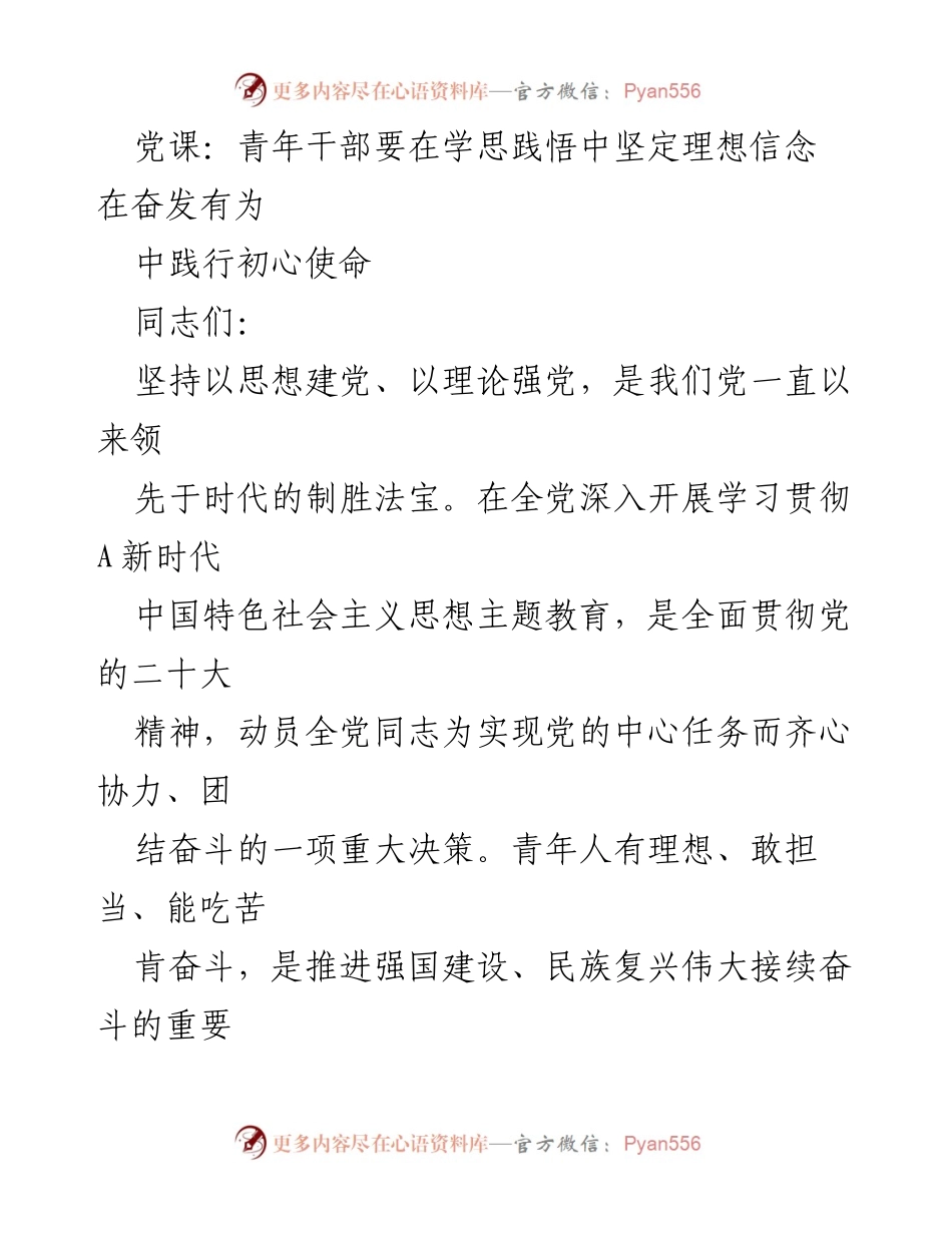 [发言] 党课 - 青年干部在学思践悟中坚定理想信念与初心使命.docx_第1页