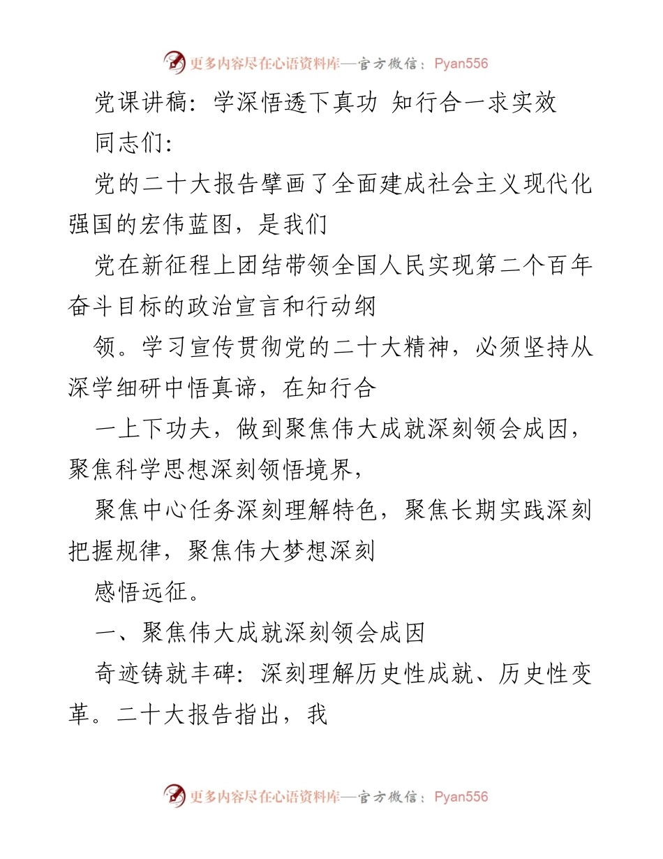 [发言] 党课 - 深学细研，知行合一：贯彻落实党的二十大精神.docx_第1页