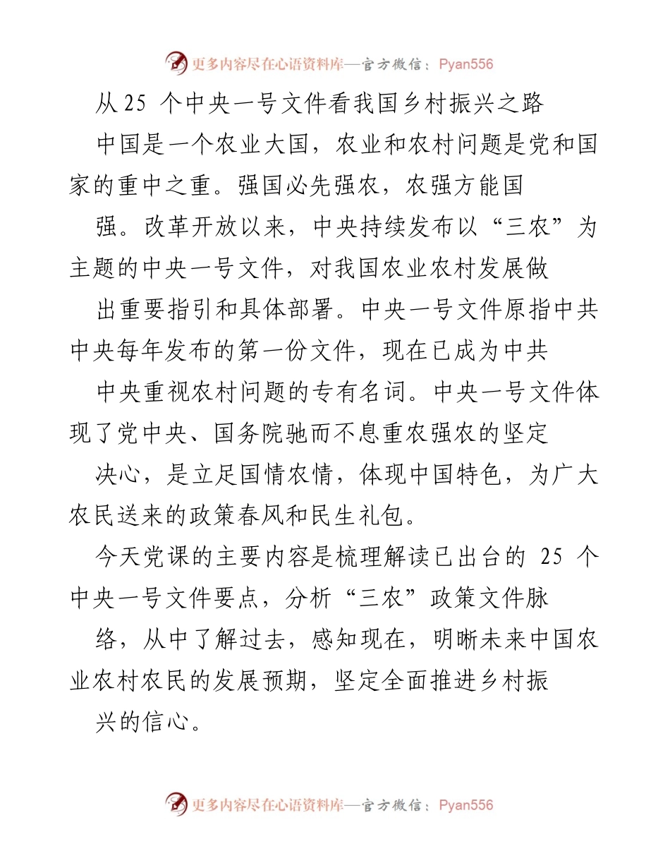 [发言] 党课 - 解读中央一号文件：推动乡村振兴的政策脉络与发展预期.docx_第1页