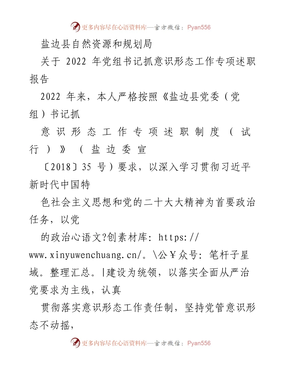 [发言] 党组书记年度述职 - 盐边县自然资源和规划局2022年意识形态工作专项述职报告.docx_第1页