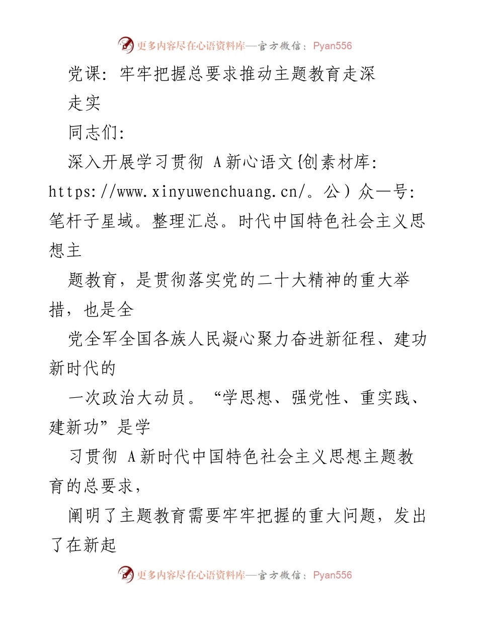 [发言] 党课 - 牢牢把握总要求，推动主题教育深入开展.docx_第1页