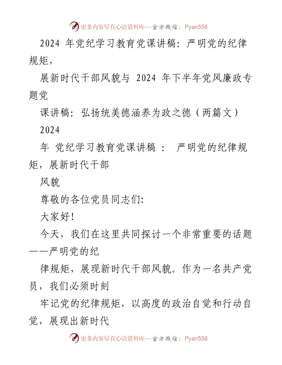[发言] 党课 - 严明纪律规矩，展新时代干部风貌.docx_第1页