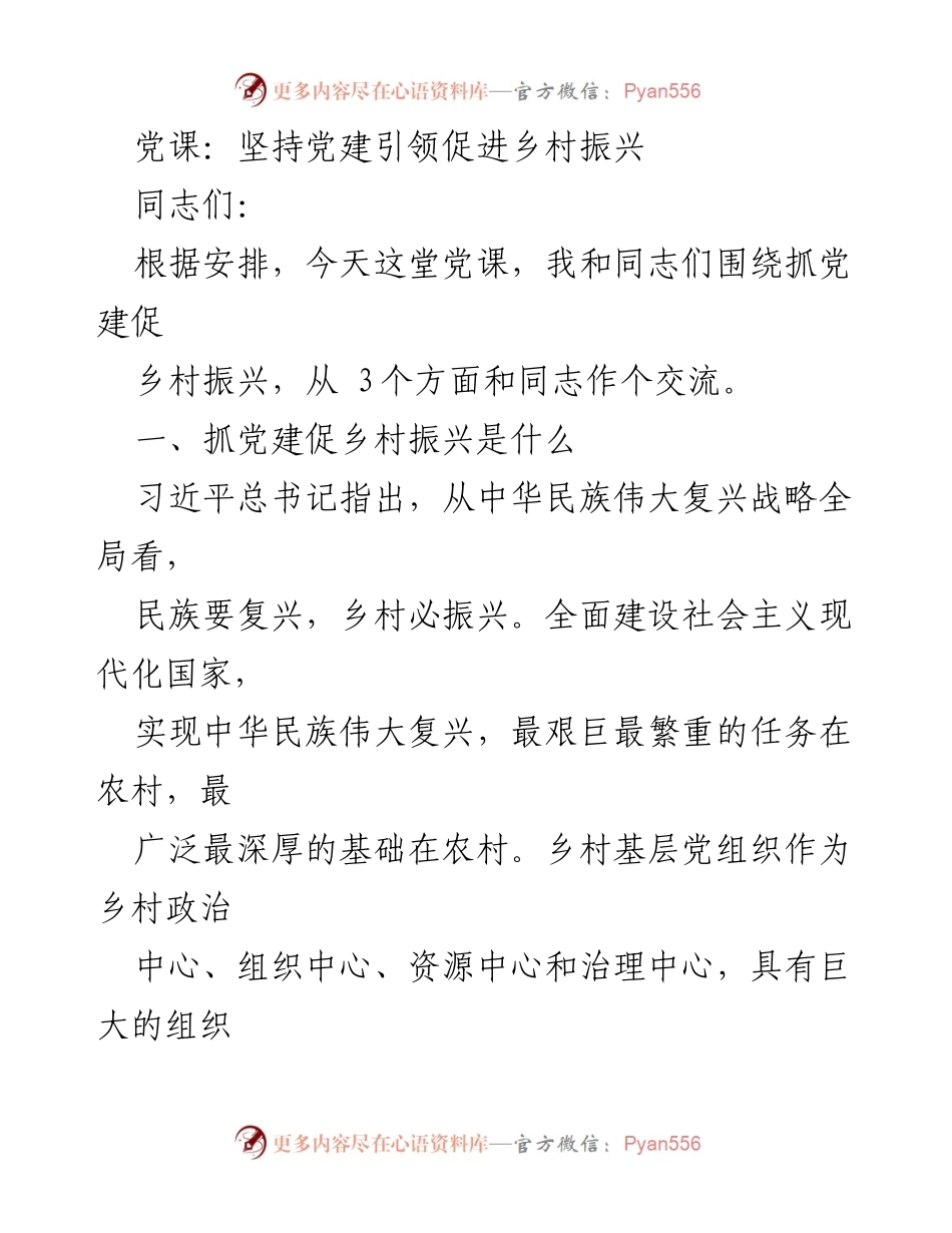 [发言] 党课 - 坚持党建引领，助力乡村振兴战略.docx_第1页