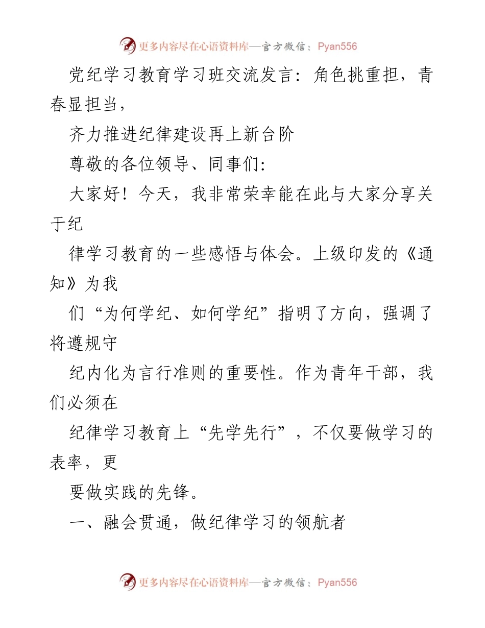[发言] 党纪学习教育学习班 - 青年干部的使命与担当：深化纪律建设的实践路径.docx_第1页