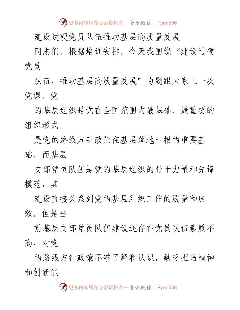 [发言] 党课 - 建设过硬党员队伍，推动基层高质量发展.docx_第1页