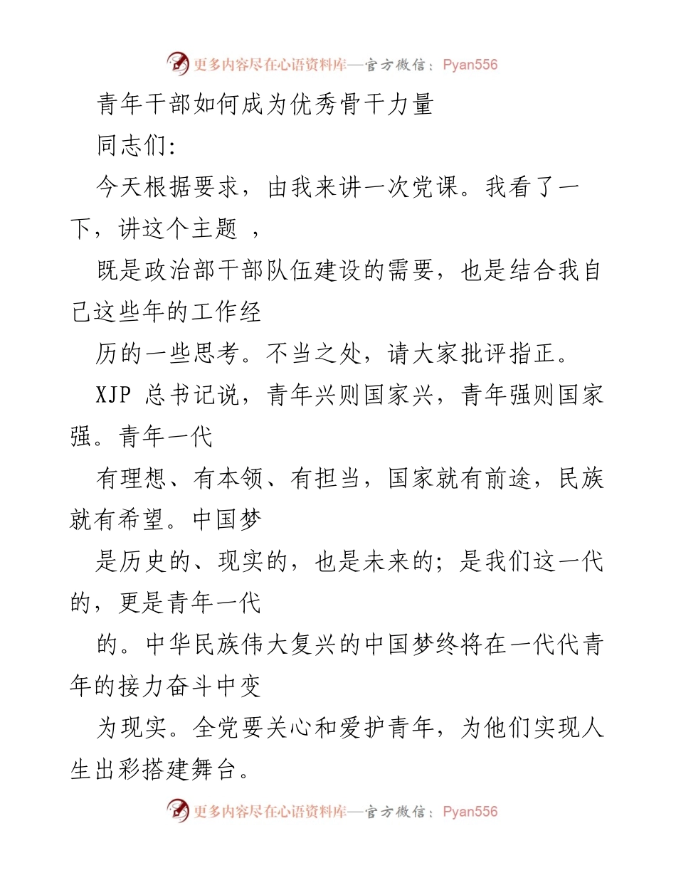 [发言] 党课 - 青年干部的成长与担当_2.docx_第1页