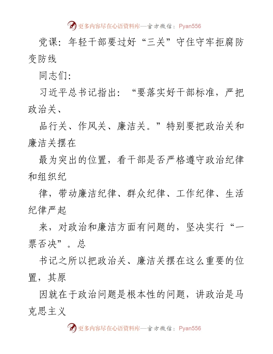 [发言] 党课 - 年轻干部需严守政治与廉洁关防线.docx_第1页
