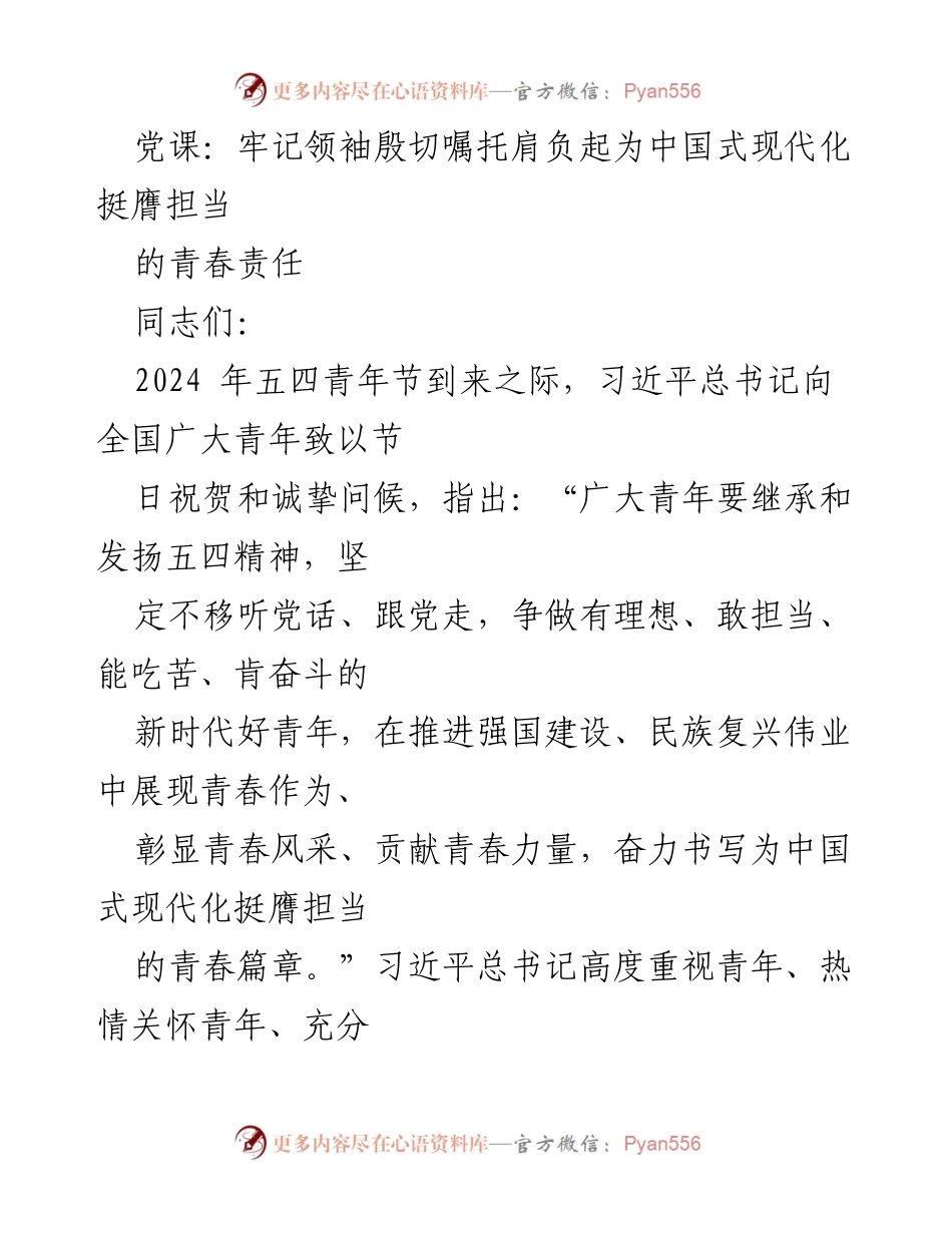 [发言] 党课 - 青年担当：中国式现代化的生力军与排头兵.docx_第1页