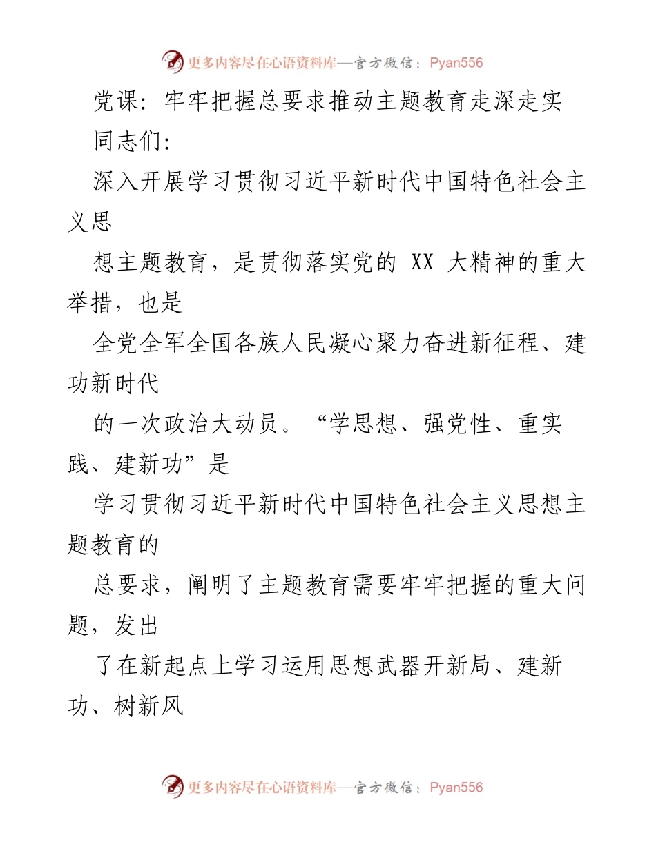 [发言] 党课 - 牢牢把握总要求，推动主题教育深入开展_1.docx_第1页