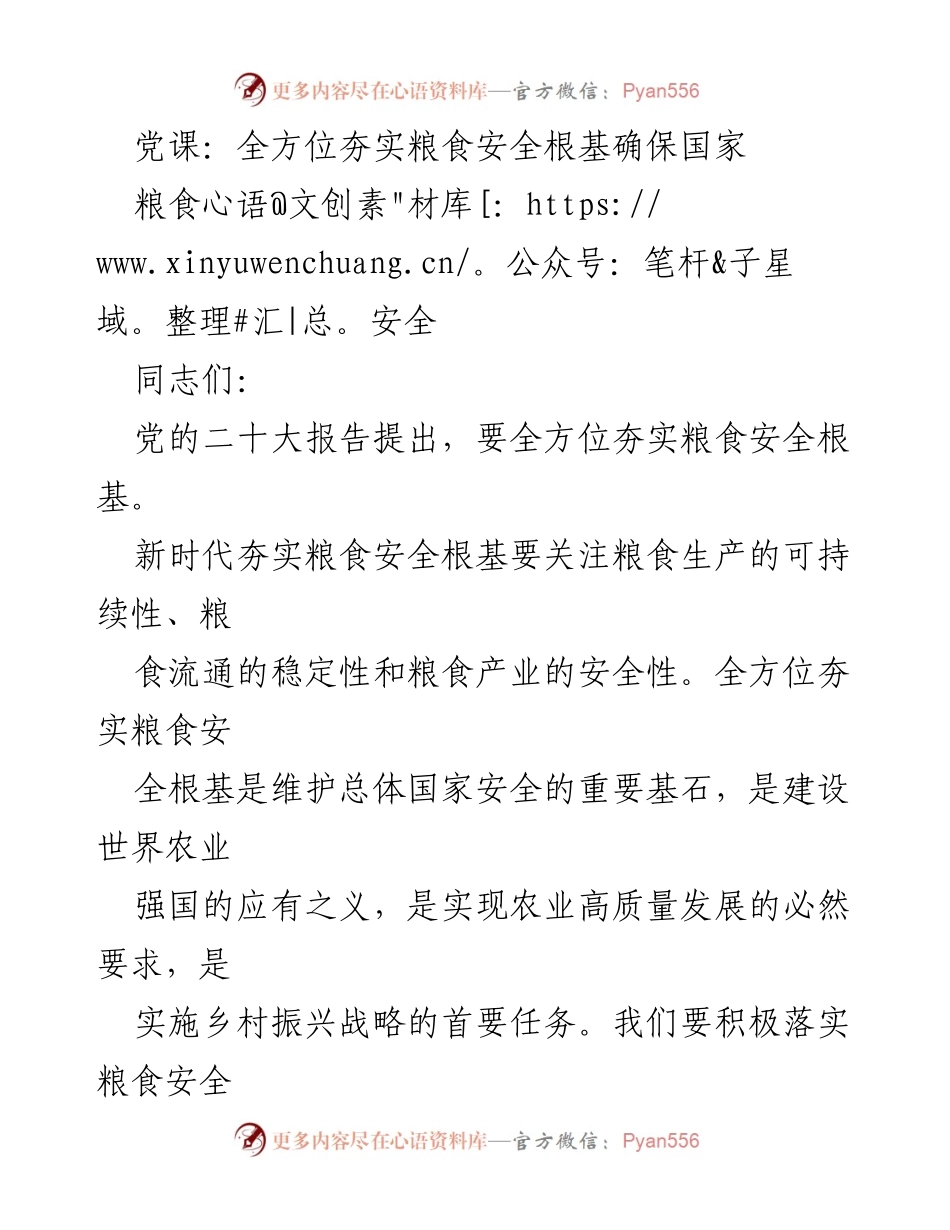 [发言] 党课 - 全面夯实粮食安全根基，确保国家粮食安全.docx_第1页