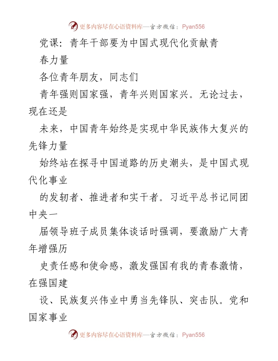 [发言] 党课 - 青年干部在中国式现代化中的使命与担当.docx_第1页