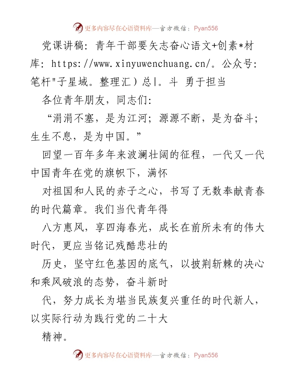 [发言] 党课 - 青年干部的使命与担当：传承红色基因，勇于奋斗.docx_第1页
