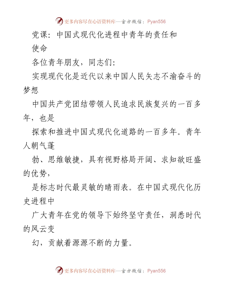 [发言] 党课 - 青年在中国式现代化进程中的使命与责任.docx_第1页