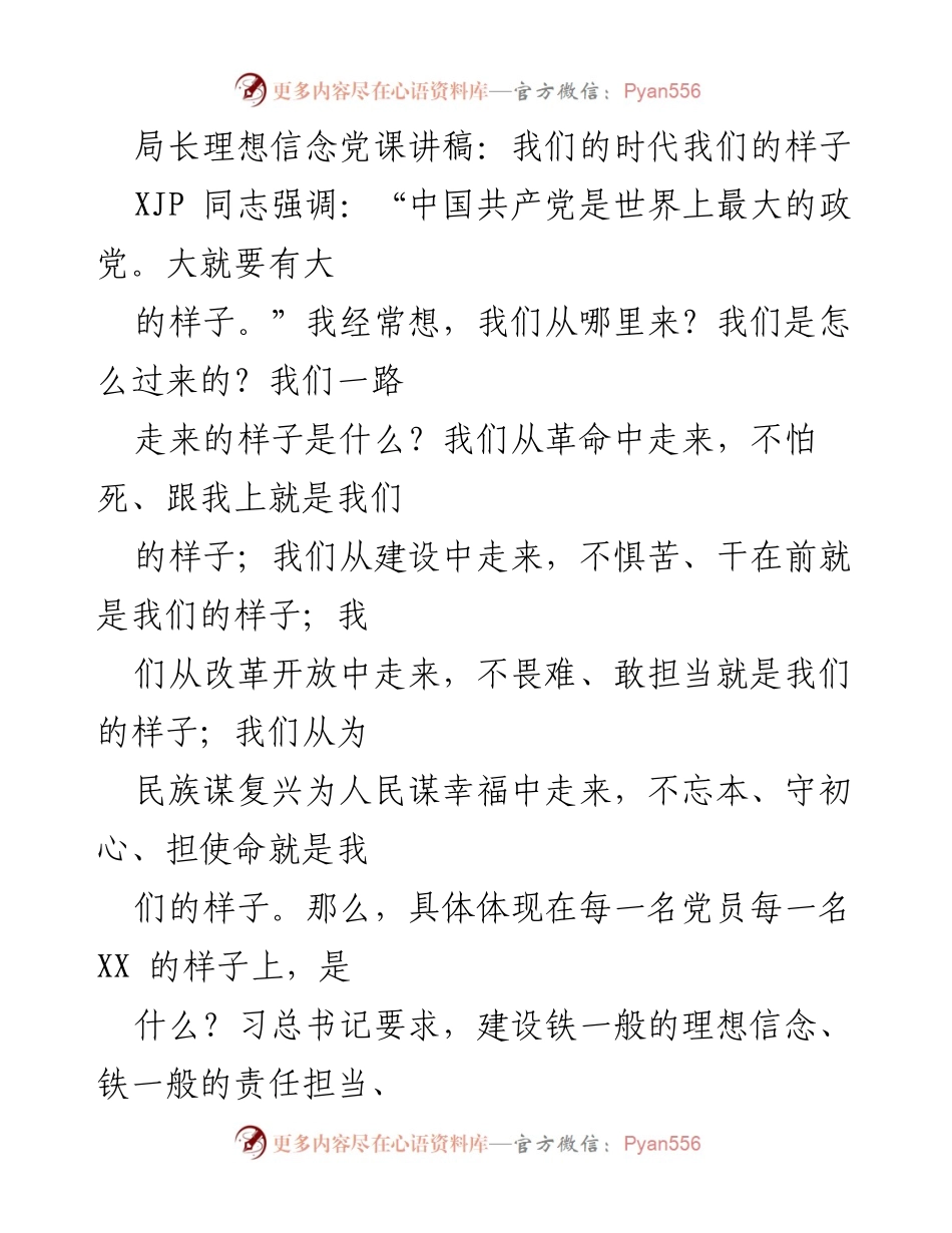 [发言] 党课 - 理想信念与担当：新时代党员的样子.docx_第1页