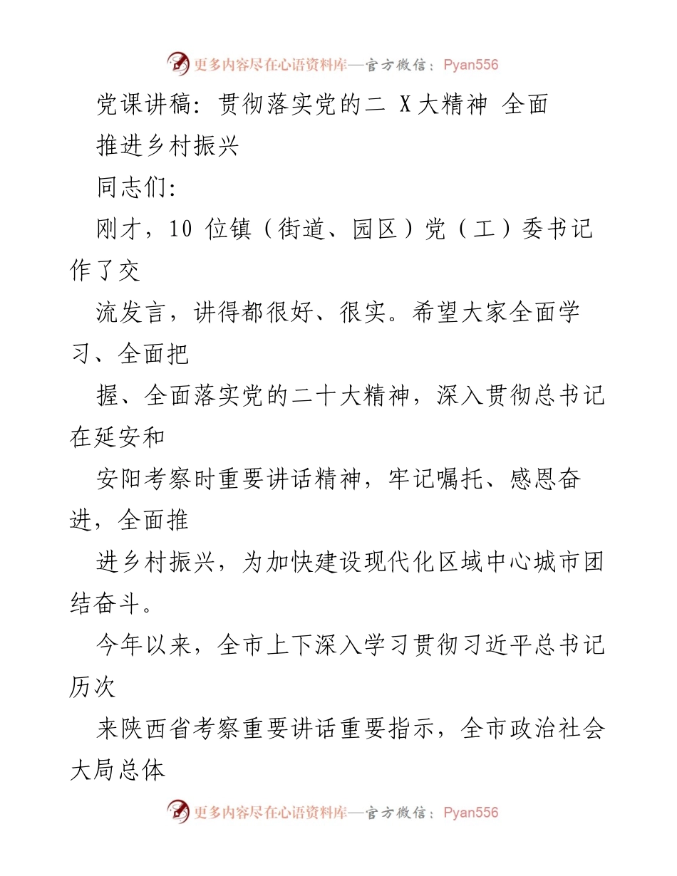 [发言] 党课 - 深入学习贯彻党的二十大精神，全面推进乡村振兴.docx_第1页
