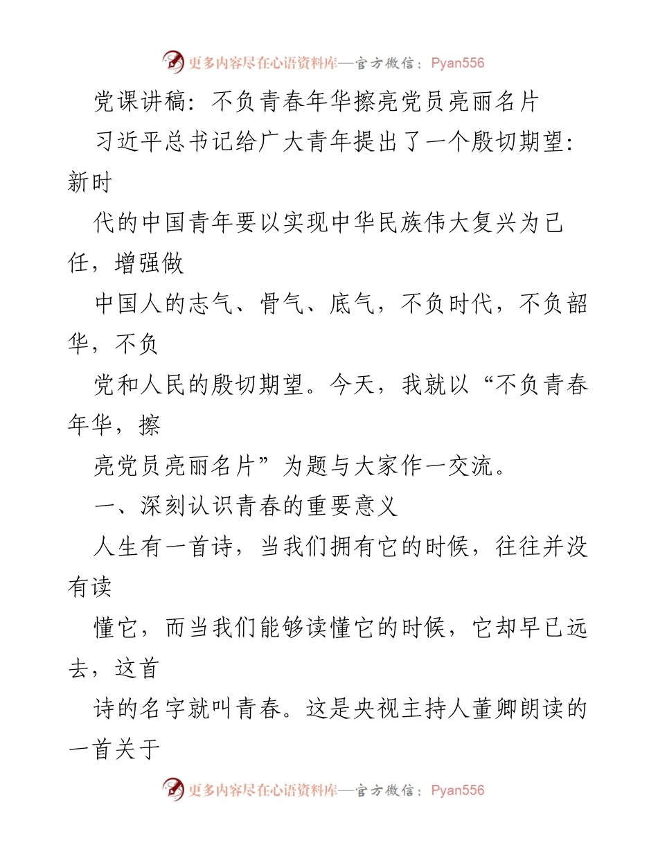 [发言] 党课 - 不负青春年华，擦亮党员亮丽名片.docx_第1页