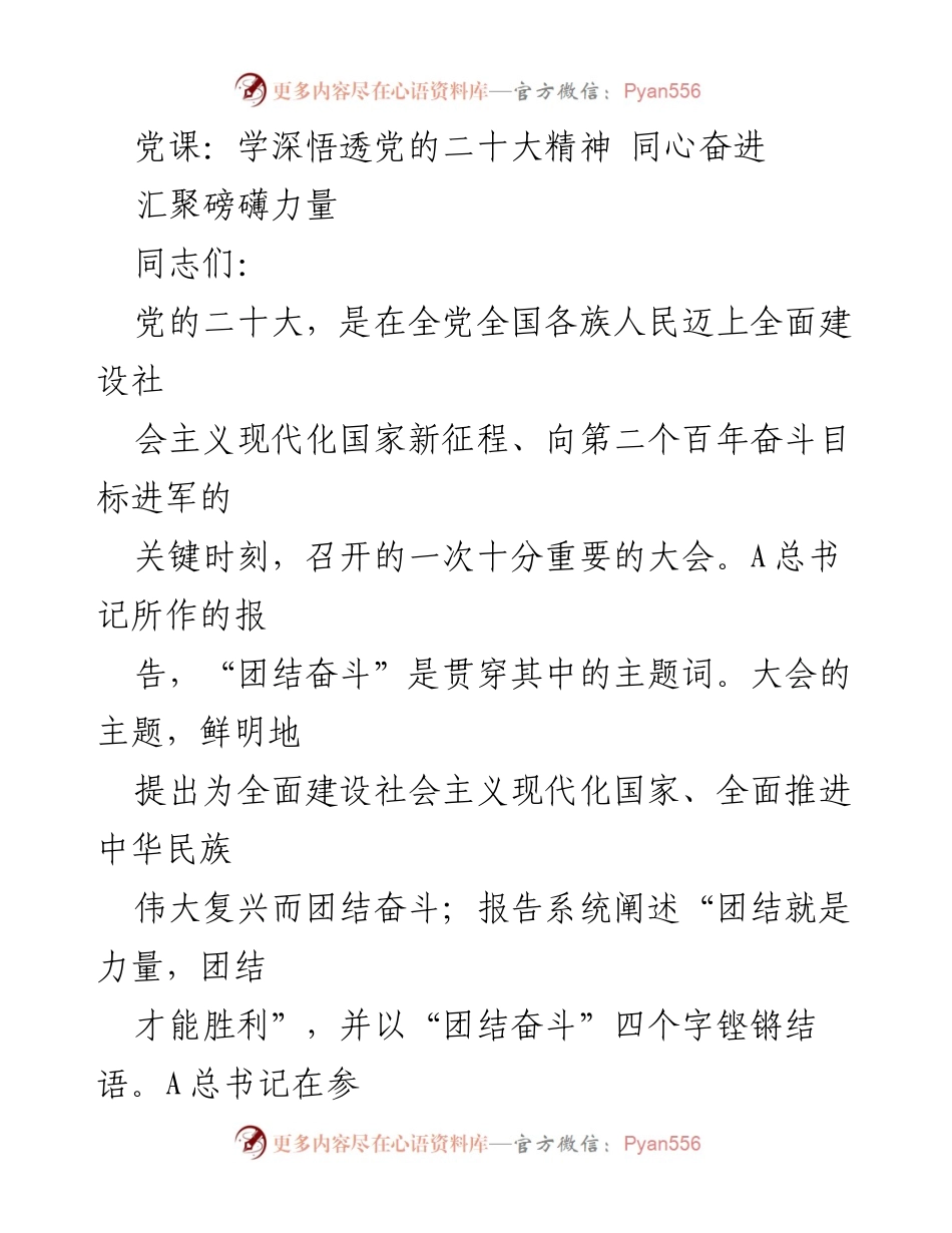 [发言] 党课 - 深刻理解团结奋斗的重要性.docx_第1页