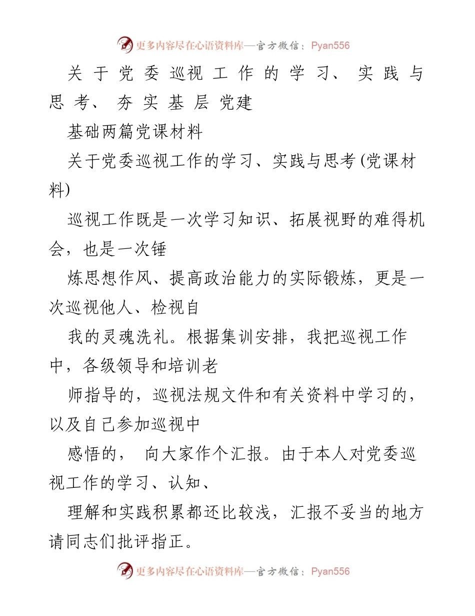 [发言] 党课 - 深化巡视工作的重要性与实践思考.docx_第1页