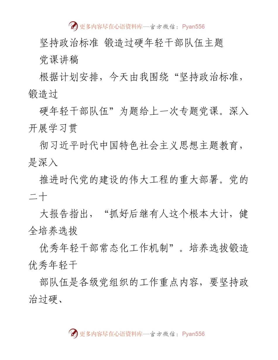 [发言] 党课 - 坚持政治标准，锻造优秀年轻干部队伍.docx_第1页