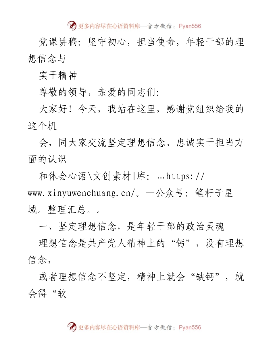 [发言] 党课 - 坚守理想信念，激发年轻干部的担当精神.docx_第1页