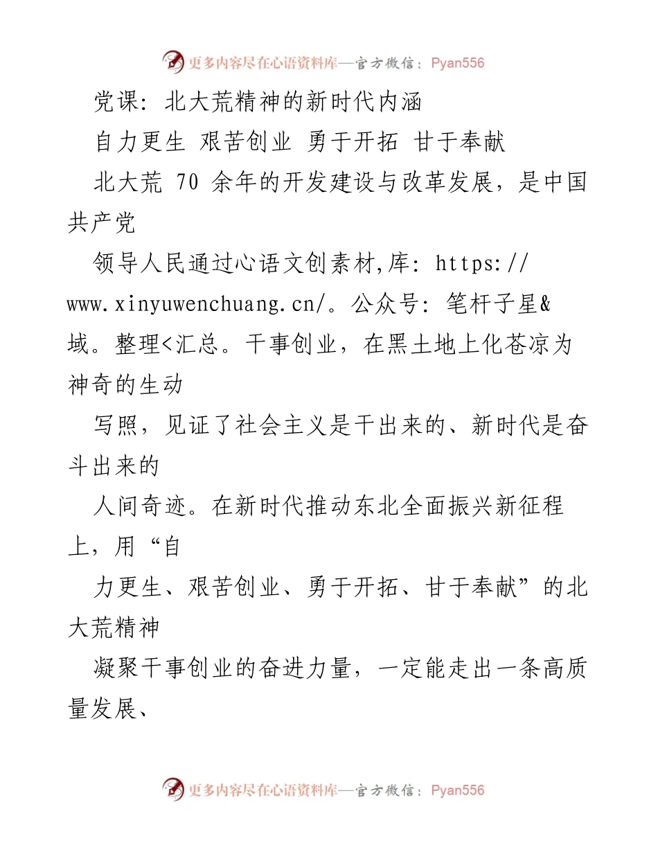 [发言] 党课 - 弘扬北大荒精神，激发新时代奋斗力量.docx_第1页