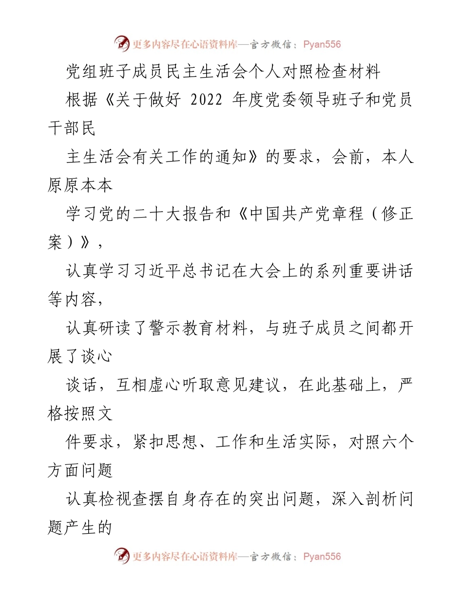 [发言] 党组班子民主生活会 - 个人对照检查及整改措施总结.docx_第1页