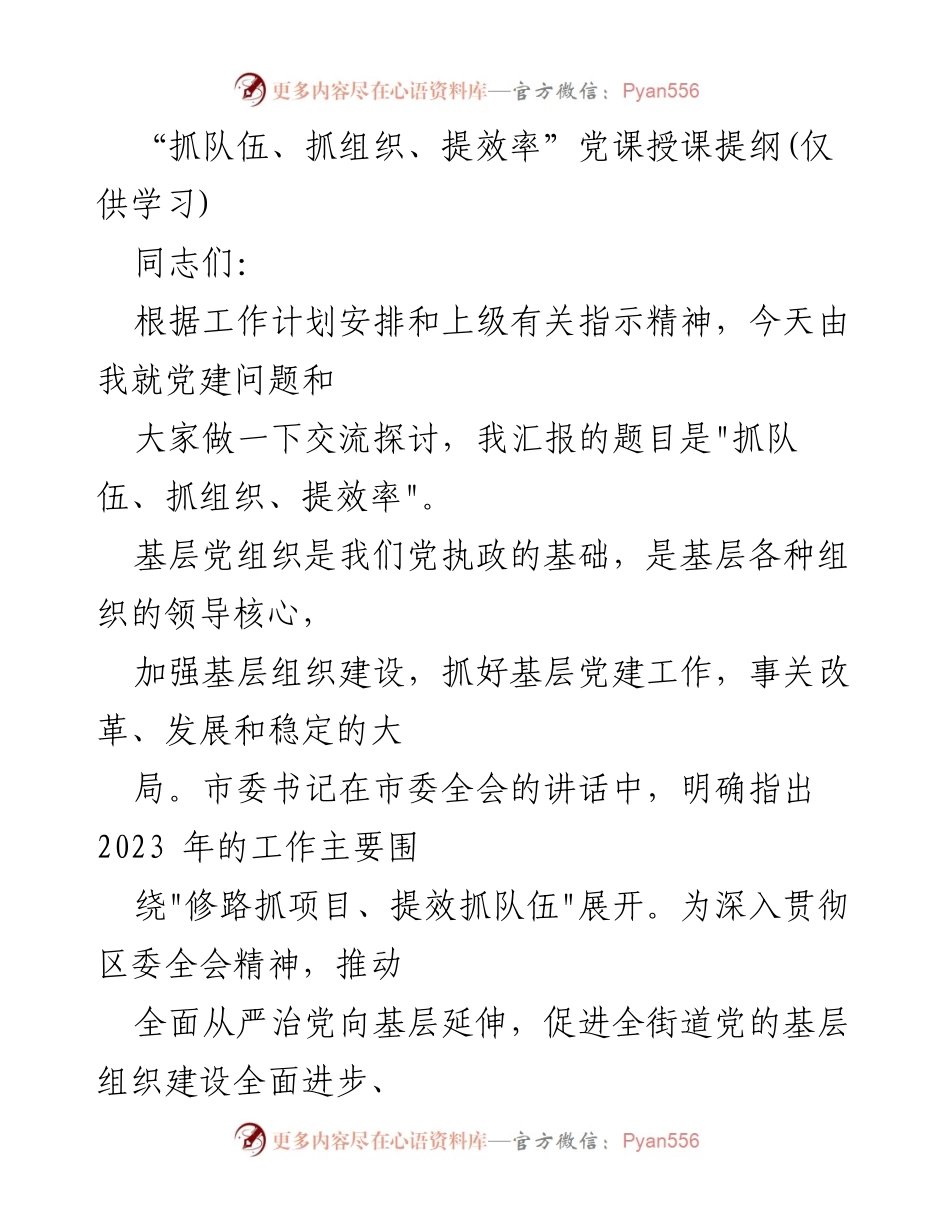 [发言] 党课 - 抓队伍、抓组织、提效率的党建工作探讨.docx_第1页